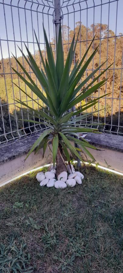 Casa Monte Beira Rio Villa Touguinho Esterno foto